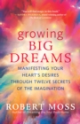 Growing Big Dreams : Manifesting Your Heart's Desires through Twelve Secrets of the Imagination - eBook