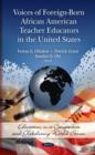 Voices of Foreign-Born African American Teacher Educators in the United States - Book