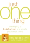 Just One Thing : Developing a Buddha Brain One Simple Practice at a Time - eBook