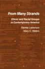 From Many Strands : Ethnic and Racial Groups in Contemporary America - eBook