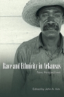 Race and Ethnicity in Arkansas : New Perspectives - eBook
