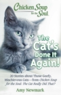 Chicken Soup for the Soul: The Cat's Done It Again! : 20 Stories About Those Goofy, Mischievous Cats - from Chicken Soup for the Soul: The Cat Really Did That? - eBook