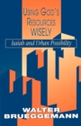 Using God's Resources Wisely : Isaiah and Urban Possibility - eBook
