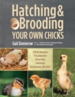 Hatching & Brooding Your Own Chicks : Chickens, Turkeys, Ducks, Geese, Guinea Fowl - Book
