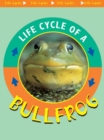 Life Cycle of A Bullfrog - eBook