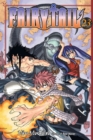 Fairy Tail 23 - Book