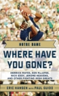 Notre Dame : Where Have You Gone? Derrick Mayes, Ken MacAfee, Nick Eddy, Jerome Heavens, and Other Fighting Irish Greats - eBook