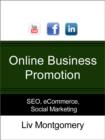 Online Business Promotion - eBook