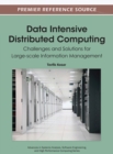 Data Intensive Distributed Computing : Challenges and Solutions for Large-scale Information Management - Book