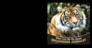 What Can We Do About Endangered Animals? - eBook