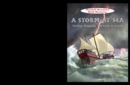 A Storm at Sea - eBook