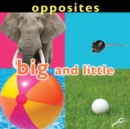Opposites: Big and Little - eBook