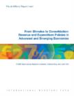 From Stimulus to Consolidation : Revenue and Expenditure Policies in Advanced and Emerging Economies - Book