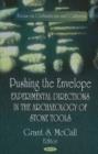 Pushing the Envelope : Experimental Directions in the Archaeology of Stone Tools - Book