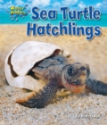 Sea Turtle Hatchlings - eBook