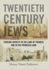 Twentieth Century Jews : Forging Identity in the Land of Promise and in the Promised Land - eBook