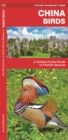 China Birds : A Folding Pocket Guide to Familiar Species - Book