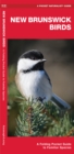 New Brunswick Birds : A Folding Pocket Guide to Familiar Species - Book