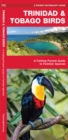 Trinidad & Tobago Birds : A Folding Pocket Guide to Familiar Species - Book