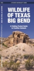 Wildlife of Texas Big Bend : A Folding Pocket Guide to Familiar Animals - Book