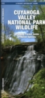 Cuyahoga Valley National Park Wildlife : A Folding Pocket Guide to Native Species - Book