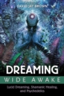 Dreaming Wide Awake : Lucid Dreaming, Shamanic Healing, and Psychedelics - Book