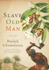 Slave Old Man : A Novel - eBook