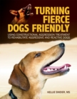 Turning Fierce Dogs Friendly : Using Constructional Aggression Treatment to Rehabilitate Aggressive and Reactive Dogs - Book