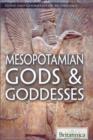 Mesopotamian Gods & Goddesses - eBook