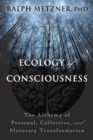 Ecology of Consciousness - eBook