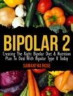 Bipolar Type 2: Creating The RIGHT Bipolar Diet & Nutritional Plan - eBook