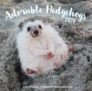 Adorable Hedgehogs Mini 2018 : 16 Month Calendar Includes September 2017 Through December 2018 - Book