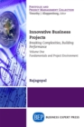 Innovative Business Projects : Breaking Complexities, Building Performance, Volume One: Fundamentals and Project Environment - eBook