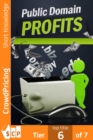 Public Domain Profits - eBook