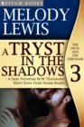 A Tryst in the Shadows - A Sexy Victorian M/M Threesome Short Story from Steam Books - eBook