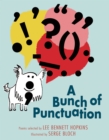 Bunch of Punctuation - eBook