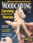 Woodcarving Illustrated Issue 48 Fall 2009 - eBook