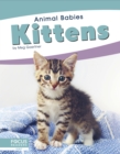 Animal Babies: Kittens - Book