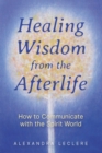 Healing Wisdom from the Afterlife : How to Communicate with the Spirit World - eBook