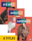 Weird and Wonderful Animals (Set of 8) - Book