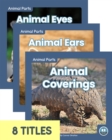 Animal Parts (Set of 8) - Book