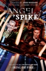 Angel & Spike Vol. 1 - eBook