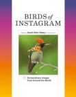Birds of Instagram : Extraordinary Images from Around the World - eBook