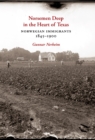 Norsemen Deep in the Heart of Texas : Norwegian Immigrants, 1845-1900 - Book