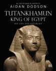 Tutankhamun, King of Egypt : His Life and Afterlife - eBook