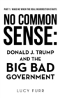 No Common Sense: : Donald J. Trump and the Big Bad Government - eBook