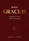Meditations on the Mercy of Our God - Book