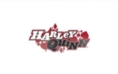 DC Comics: Harley Quinn Embossed Foil Note Cards : 10 Blank Cards and 10 Envelopes Set of 10 - Book