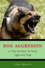 Dog Aggression : 10 Tips On How To Train Aggressive Dogs - eBook