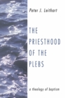 The Priesthood of the Plebs : A Theology of Baptism - eBook